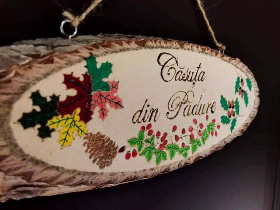 فندق Casuta Din Padure مالايا المظهر الخارجي الصورة